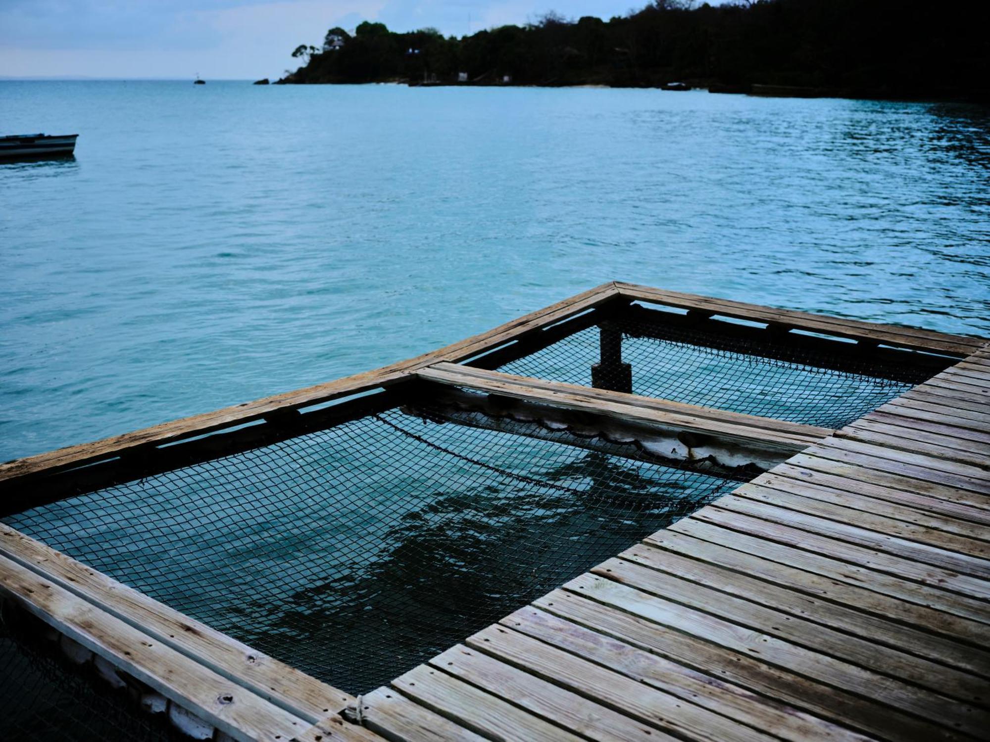 Вілла Isla Fuerte Eco House Puerto Limon Екстер'єр фото